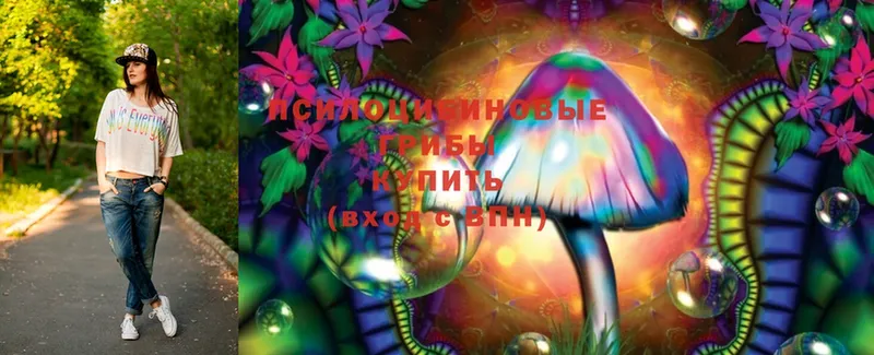 где можно купить наркотик  Солигалич  Псилоцибиновые грибы Cubensis 