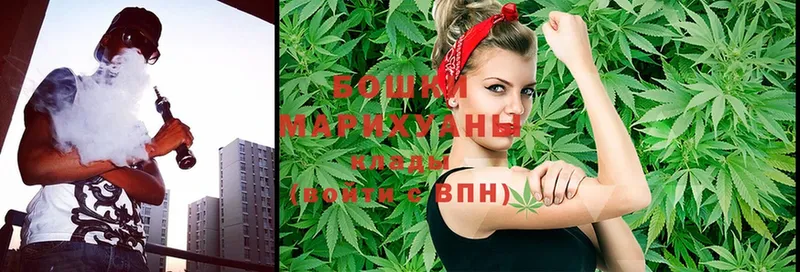 блэк спрут маркетплейс  Солигалич  Бошки марихуана SATIVA & INDICA  купить  